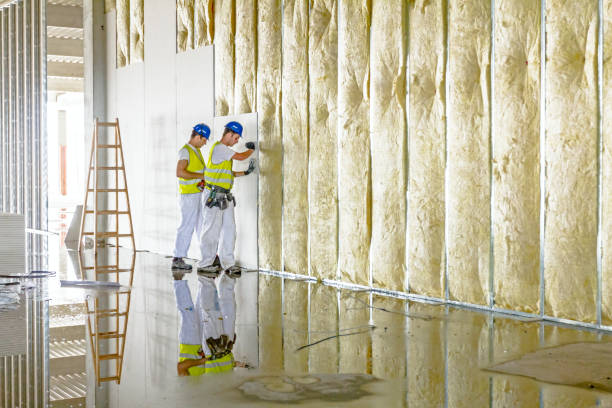 Types of Insulation We Offer in Dunkirk, NY